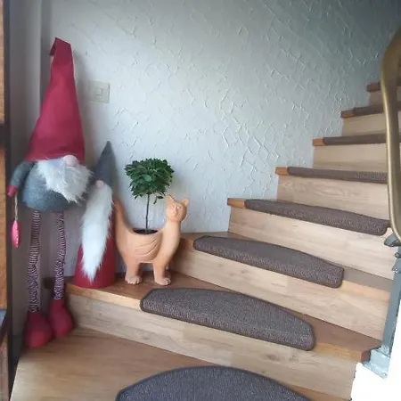 Holiday Apartment דירה *