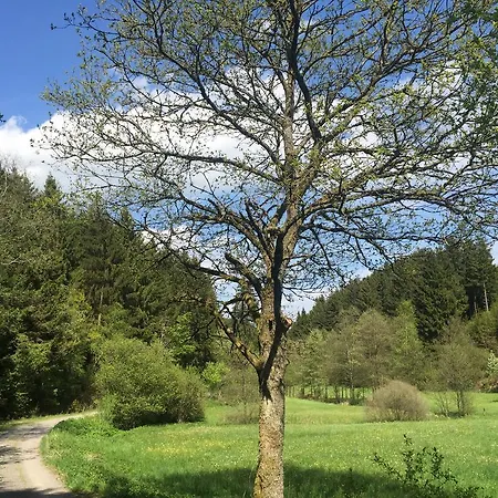 Holiday Apartment Apartament *