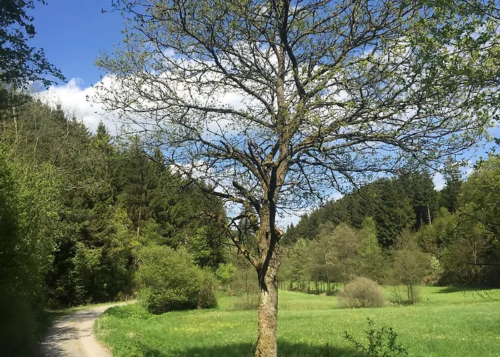 Holiday Apartment 아파트 *